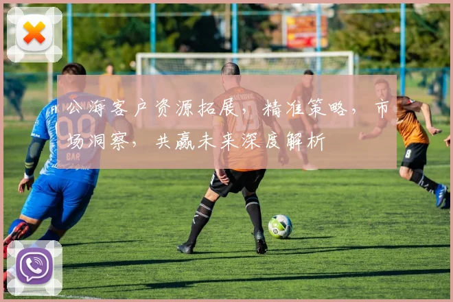 公海客户资源拓展，精准策略，市场洞察，共赢未来深度解析