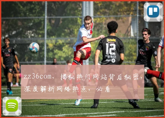 zz36com，揭秘热门网站背后秘密，深度解析网络热点，必看