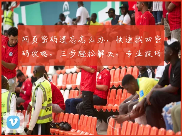 网页密码遗忘怎么办，快速找回密码攻略，三步轻松解决，专业技巧分享