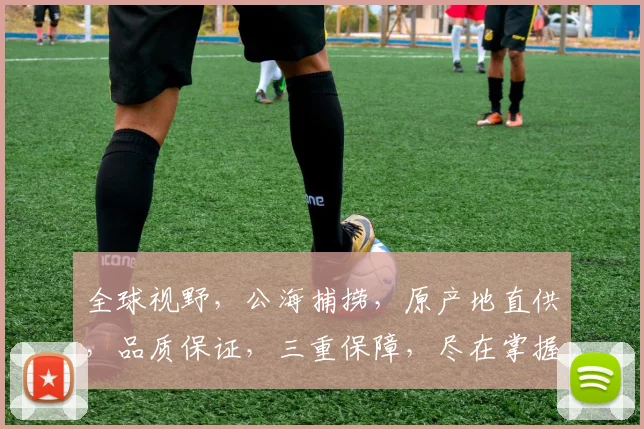 全球视野，公海捕捞，原产地直供，品质保证，三重保障，尽在掌握